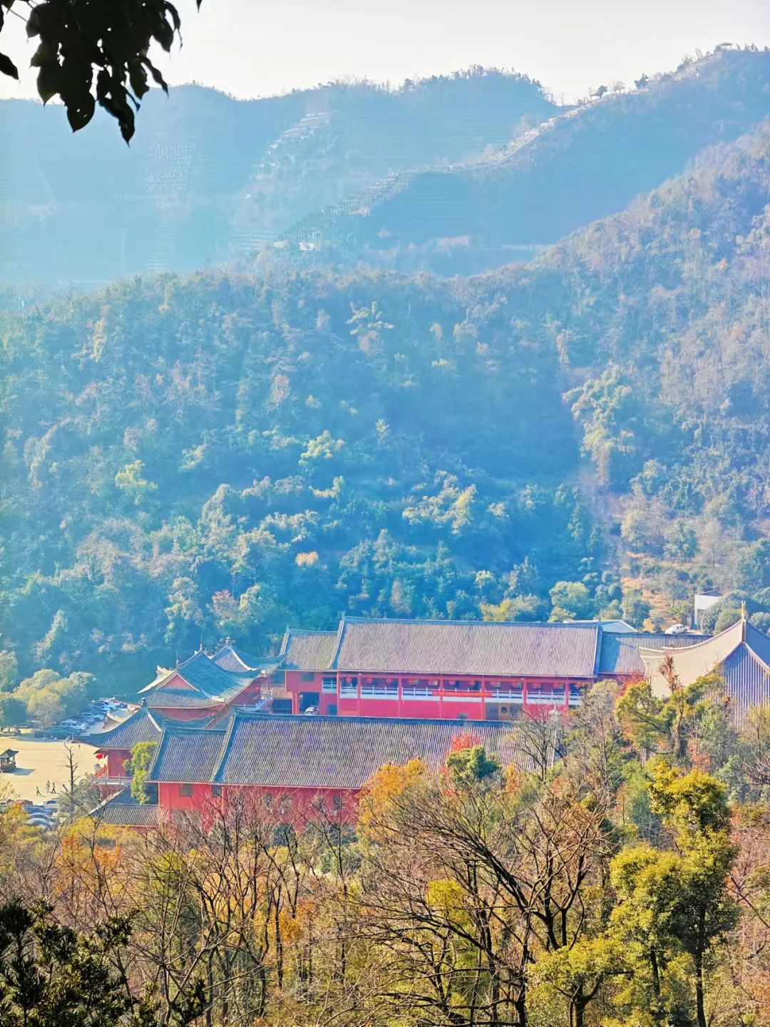 DƬ
